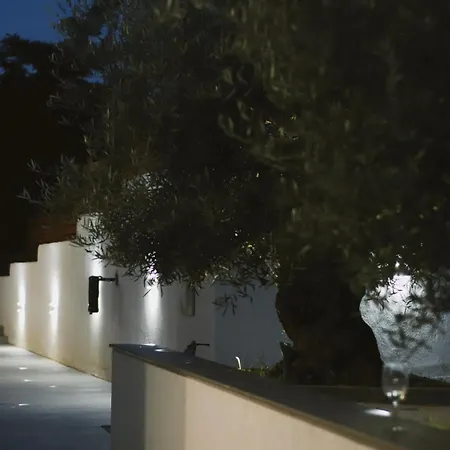 Olive 소조폴